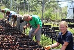 Volunteer الإكوادور Volunteer الإكوادور
